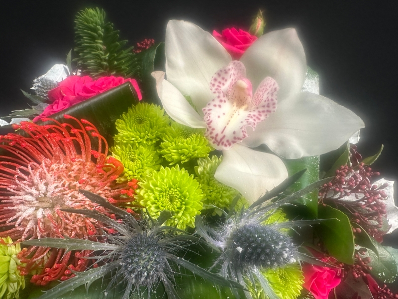 perfect gift choice to spread Christmas cheer.