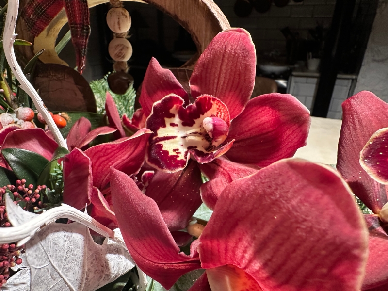  WOW........!!!!!!   perfect gift choice to spread Christmas cheer.