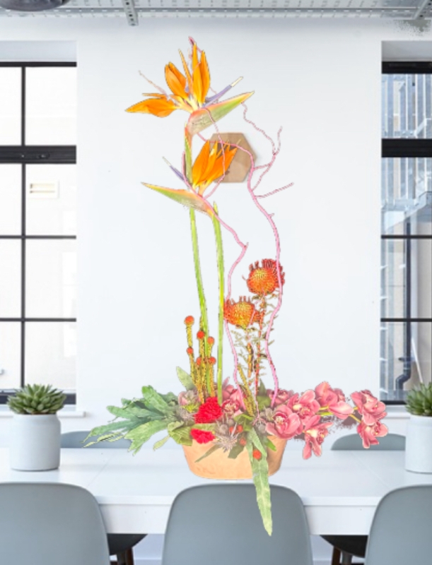 Amazing Mam  (PACKAGE)