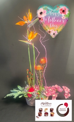 Amazing Mam  (PACKAGE)