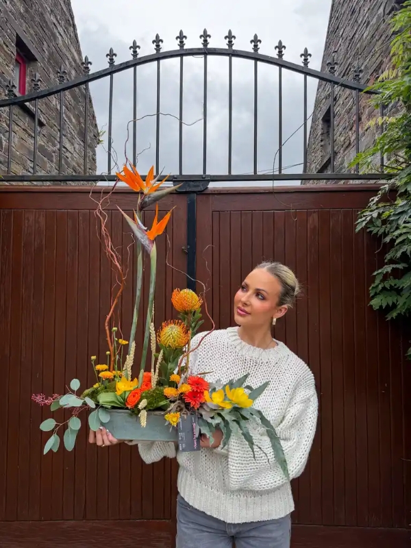 Beautiful minimal tropical arrangement 