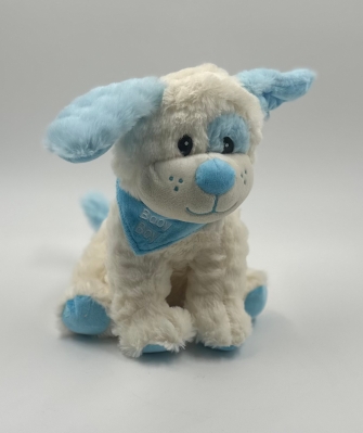 Baby Boy Teddy
