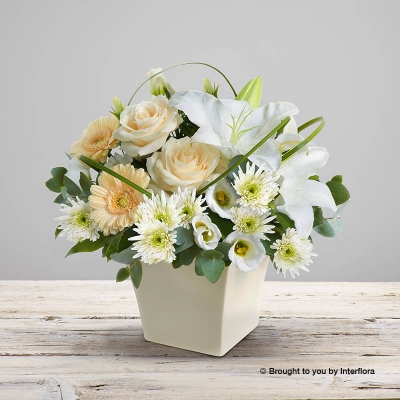cream Rose Cream germini White Lily White Chrysanthemum White Lisianthus & greenery arranged in a Cream Curved Ceramic Pot