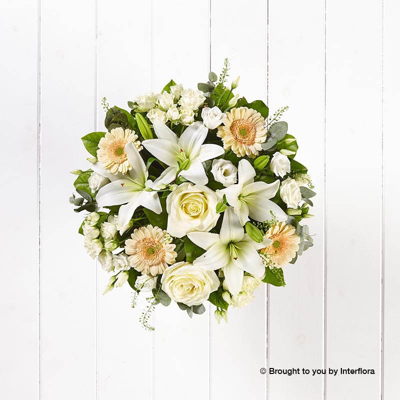 White Lisianthus White Spray Rose White Lily Ivory Rose Cream Germini & greenery in a hand tied bouquet