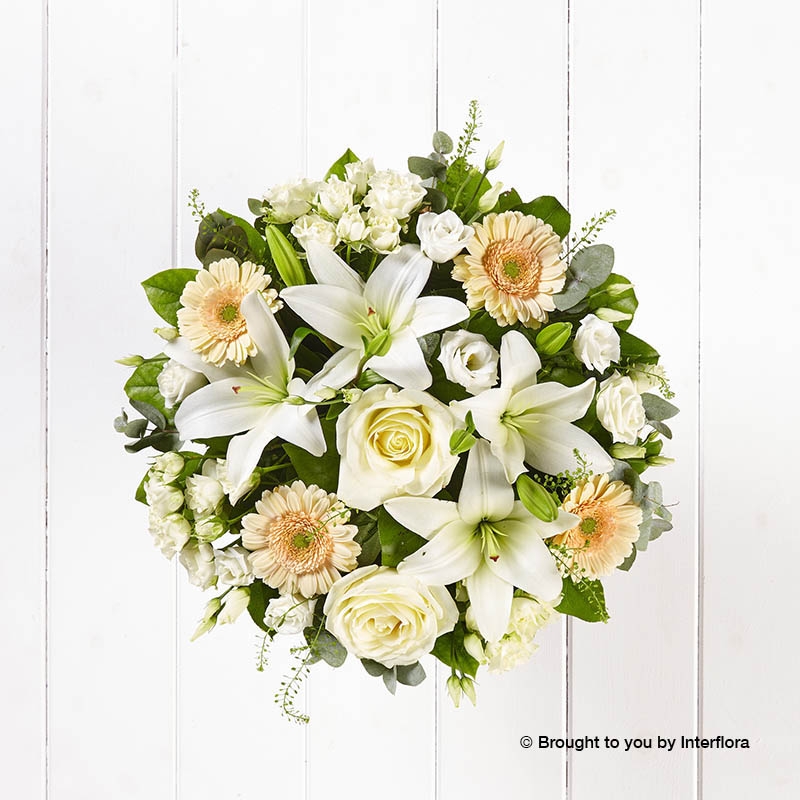 White Lisianthus White Spray Rose White Lily Ivory Rose Cream Germini & greenery in a hand tied bouquet