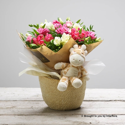 White Freesia Pink Lisianthus Cerise Alstromeria & greenery in a small bouquet presented with giraffe teddy bear in a soft woven basket