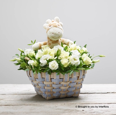 White Freesia White Lisianthus White Spray Rose & greenery arranged in Two Tone Basket 