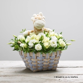 White Freesia White Lisianthus White Spray Rose & greenery arranged in Two Tone Basket 