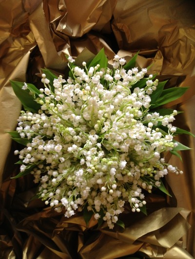 Lily Of The Valley