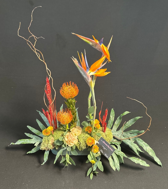 Beautiful minimal tropical arrangement 