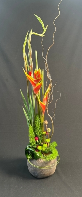 classic arrangement very modern with lots of impact. 