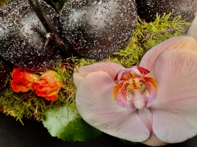 The future of floristry....Very Impressive!