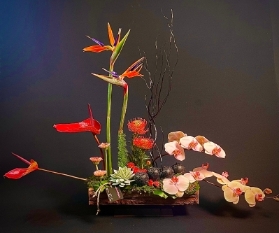 The future of floristry....Very Impressive!