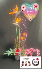 Amazing Mam  (PACKAGE)