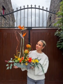 Beautiful minimal tropical arrangement 