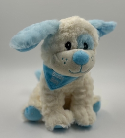 Baby Boy Teddy