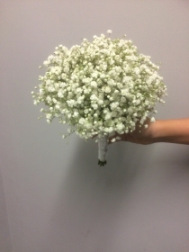 Gypsophila Bouquet