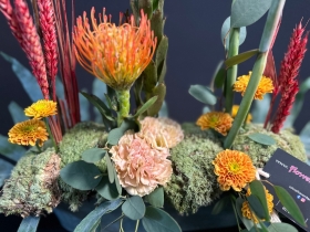 Beautiful minimal tropical arrangement 