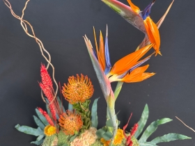 Beautiful minimal tropical arrangement 