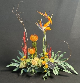 Beautiful minimal tropical arrangement 