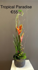 classic arrangement very modern with lots of impact. 