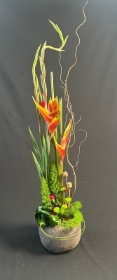 classic arrangement very modern with lots of impact. 