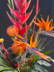 Stunning Tropical vase
