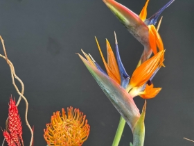 Stunning Tropical vase