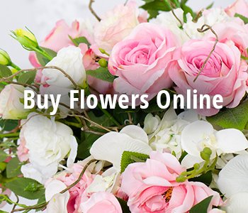 Buy Flowers online for delivery to Kilkenny and Waterford