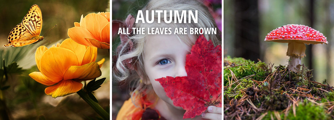 Flowers By Lucy Florists In Kilkenny And Waterford